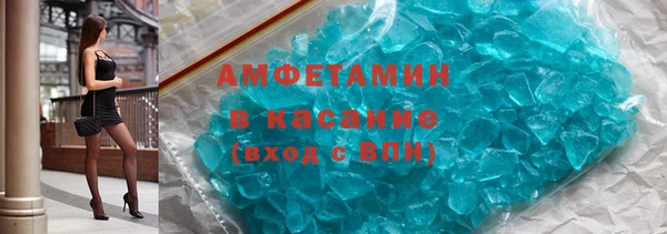 шишки Надым