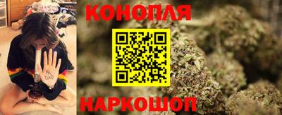 apvp Свободный
