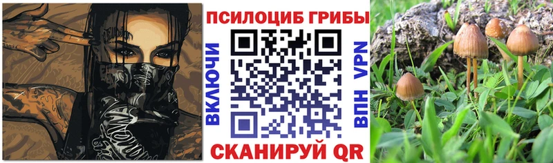продажа наркотиков  Шатура  Галлюциногенные грибы мицелий 